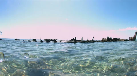 Shallow waters of a coral reef Vídeo Stock 51579238