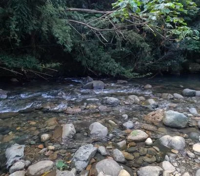 Shallow waters. Foto stock