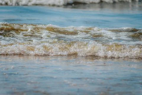 A shallow wave gently rolling on a sandy beach in daylight. Stock Photos