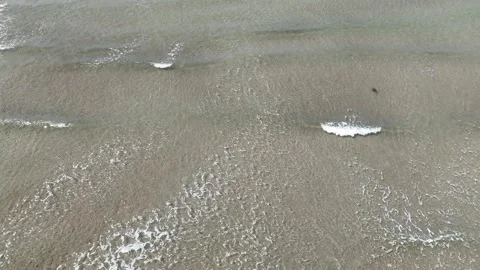 Shallow Waves Flow Onto the Beach Shore Aerial View Stock Footage 342294011
