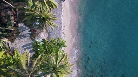Shallow waves Palm beach low sun no people Stunning aerial top view flight drone Stock Footage 240201770