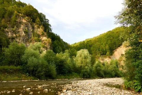 Shallowed rapid flow of a mountain river among the stone forest rocks Stock Photos