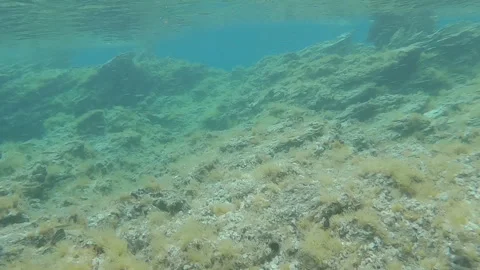 ShallowReef Pan / Drift1 Stock-Footage 257557972