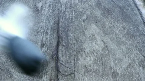 Shaman beats the drum Stock Footage 16997610