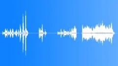 Shaman customs voices Sound Effect