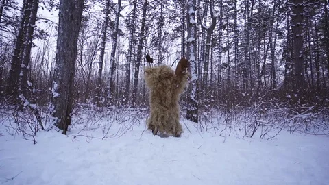 Shaman Stock Footage 128197429