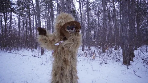 Shaman in forest Stock Footage 128197160