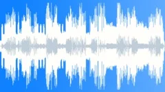 The Shaman Stock Music