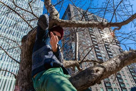 Shaman sits in tree by skyscraper A closeup and low angle view of a spirit... Stock Photos