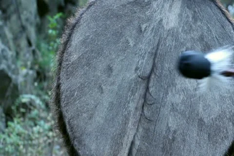 Shaman's drum Stock Footage 17056682