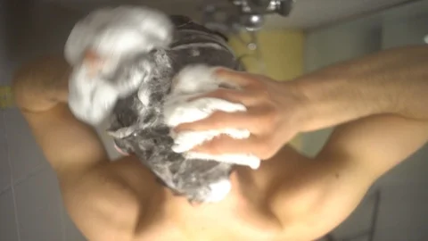 Shampooing Stock Footage 104490063