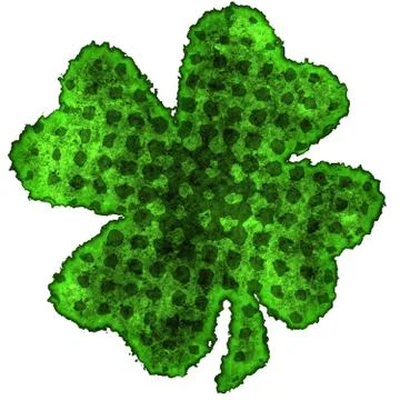 Shamrock burnt parchment Stock Illustration