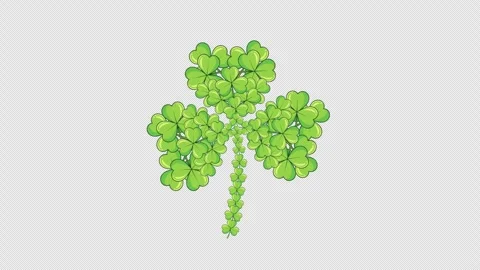 SHAMROCK CLOVER FORMATION Stock Footage 326675552