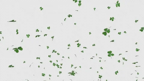 Shamrock Clover Leaf Explosion Burst Vídeo Stock 330629517