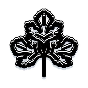 Shamrock clover leaf symbol for luck 스톡 일러스트