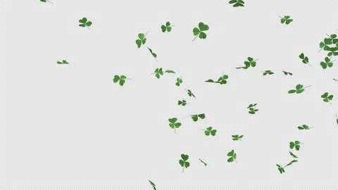 Shamrock Falling Stock Footage 232744908