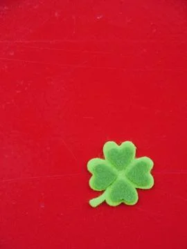 Shamrock Stock Photos
