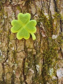 Shamrock Stock Photos