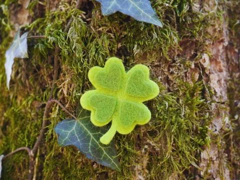 Shamrock Stock Photos