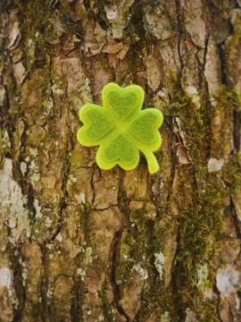 Shamrock Stock Photos