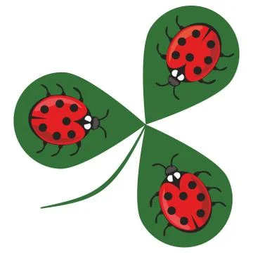 Shamrock wiht three ladybugs. Three little red beetles sitting on a green clo Stock Illustration