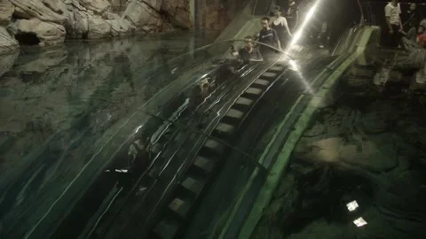 Shanghai Aquarium Stock Footage 153074864
