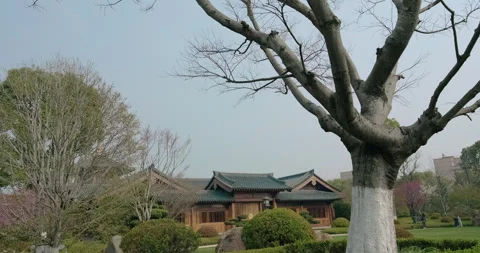 Shanghai Baoshan Temple, square, Zen room in the distance Vídeos de archivo 243453056
