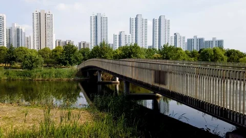 Shanghai Bridge Stock Footage 109532838