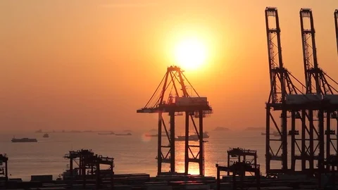 Shanghai Cargo terminal Stock Footage 77570357
