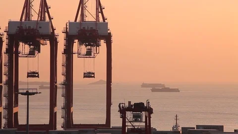 Shanghai Cargo terminal Vidéo 77576107