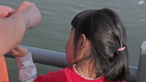 Shanghai City Park Stock Footage 97401027