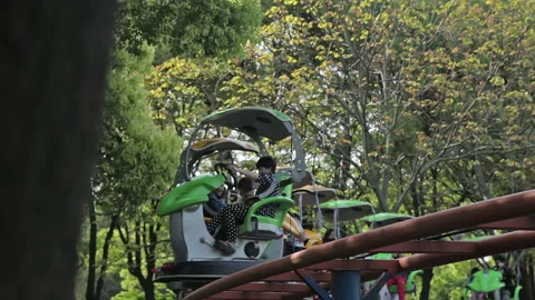 Shanghai City Park Stock Footage 97406348
