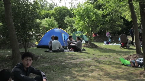 Shanghai City Park Stock Footage 97513445