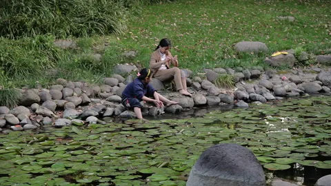 Shanghai City Park Stock Footage 97543852