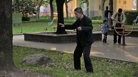 Shanghai City Park Stock Footage 97545348