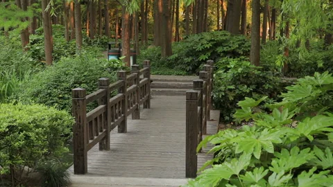 Shanghai City Park Stock Footage 97547216