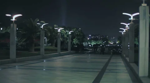Shanghai Night Scene Stock Footage 38736015
