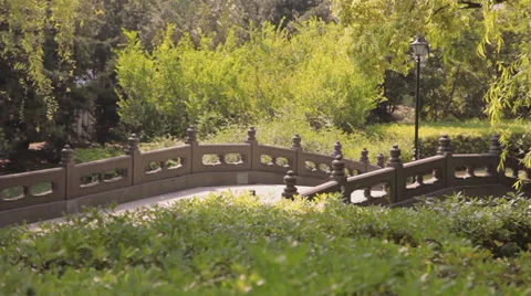 Shanghai park scene Stock Footage 38695214
