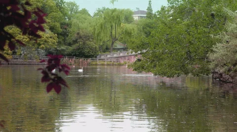 Shanghai park scene Stock Footage 38731245