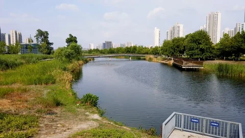Shanghai River Stock Footage 109532835