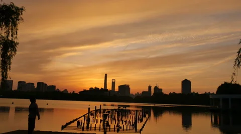 Shanghai sunset view Stock Footage 50221165