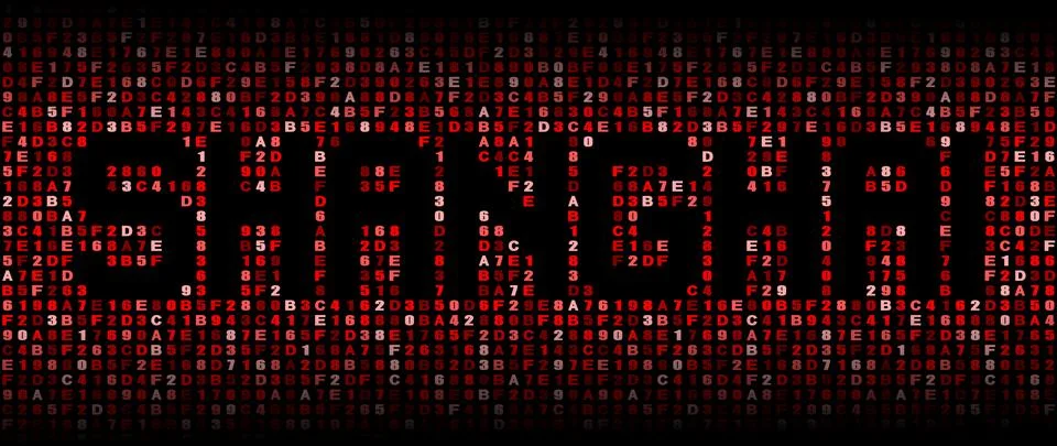 Shanghai text on hex code illustration Stock-Illustration