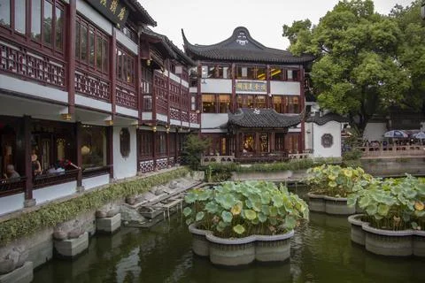Shanghai view Stock Photos