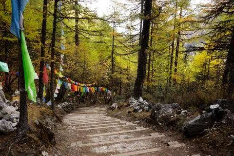 Shangri la, steps going through valley forest filled with autumn trees. Stock Photos