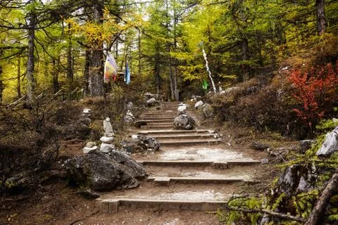 Shangri la, steps going through valley forest filled with yellow autumn trees. Stock Photos