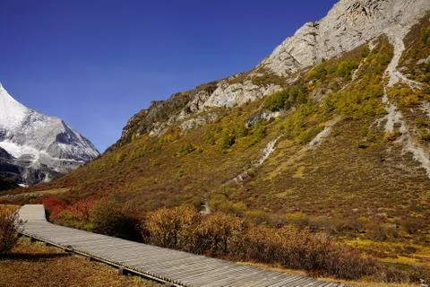 Shangri la, view of mountain wall with yellow green autumn trees in valley. Stock Photos