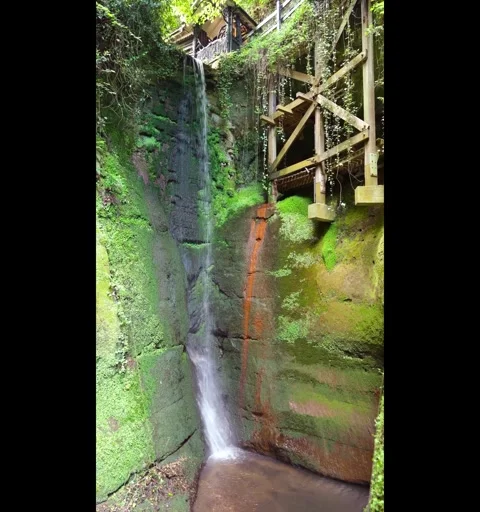 Shanklin Chine on the Isle of Wight is the Islands oldest visitor attraction. Video stock 318924217