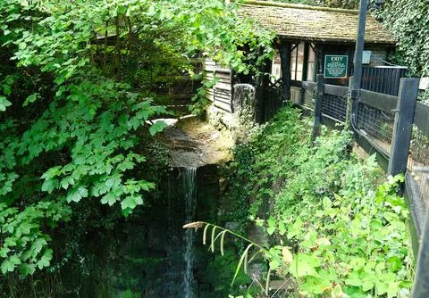 Shanklin Chine upper pay gate and top of the waterfall. Foto stock