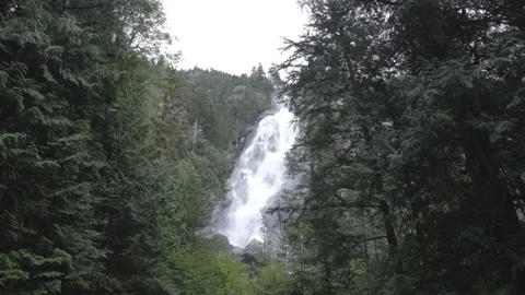 Shannon Falls - Squamish BC HD Stock-Footage 91367522