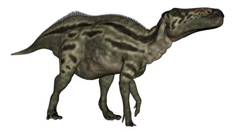 Shantungosaurus dinosaur - 3D render Stock Illustration
